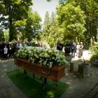 zdjęcie nr 14