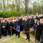 zdjęcie nr 105