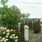 zdjęcie nr 28
