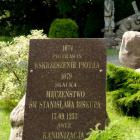 zdjęcie nr 49
