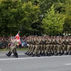 Fotka nr 2 z 22