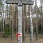 zdjęcie nr 37