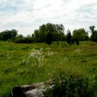 zdjęcie nr 23
