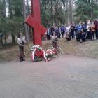 zdjęcie nr 14