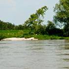 zdjęcie nr 37