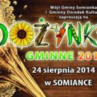 zdjęcie nr 8