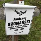 zdjęcie nr 12