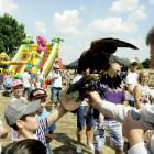 zdjęcie nr 50