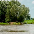 zdjęcie nr 38